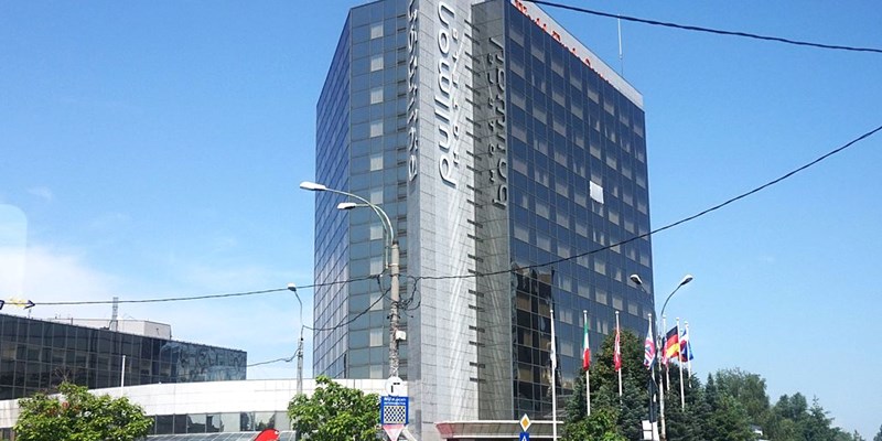 A young woman shopping art